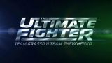 The Ultimate Fighter S32E12 8/20/24 – 20th August 2024 Watch Wrestling HD