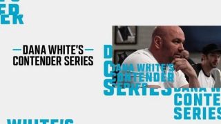 UFC Dana Whites Contender Series Season 8 8/13/24 – 13th August 2024 Watch Wrestling HD